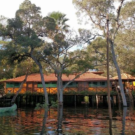 Pantanal Jungle Lodge Passo do Lontra Ngoại thất bức ảnh