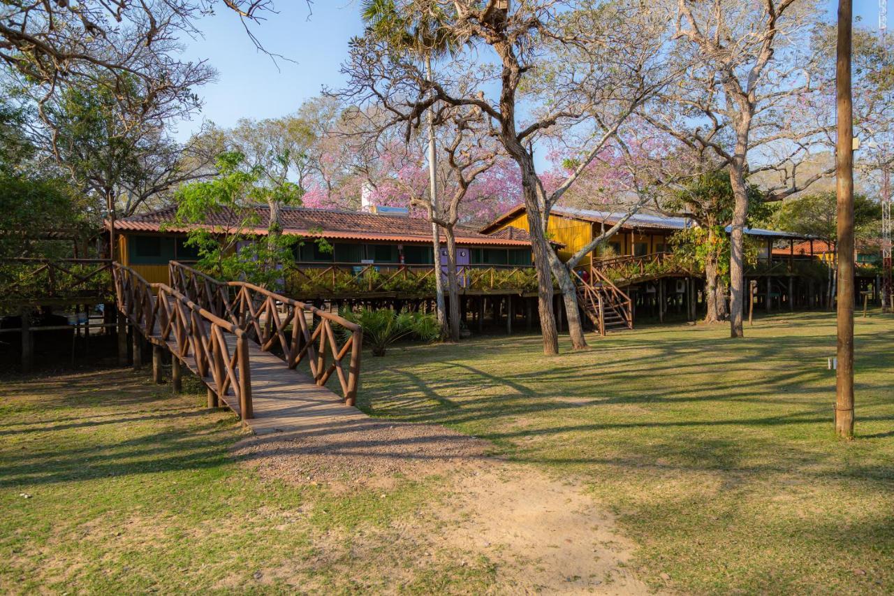 Pantanal Jungle Lodge Passo do Lontra Ngoại thất bức ảnh