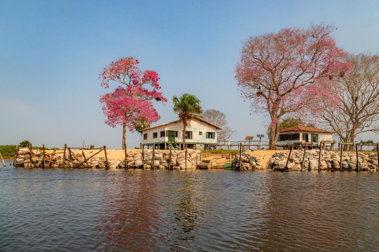 Pantanal Jungle Lodge Passo do Lontra Ngoại thất bức ảnh